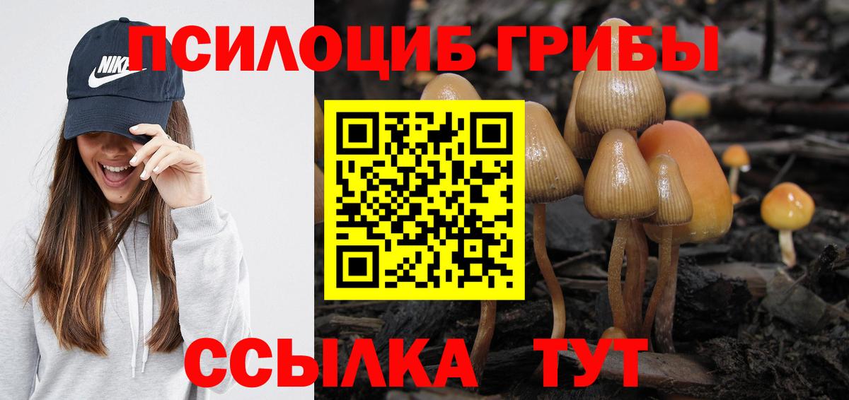 Сосновоборск  Галлюциногенные грибы MAGIC MUSHROOMS  Вход с VPN 