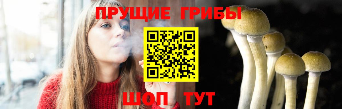 Псилоцибиновые грибы MAGIC MUSHROOMS Сосновоборск